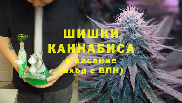 тгк Абаза
