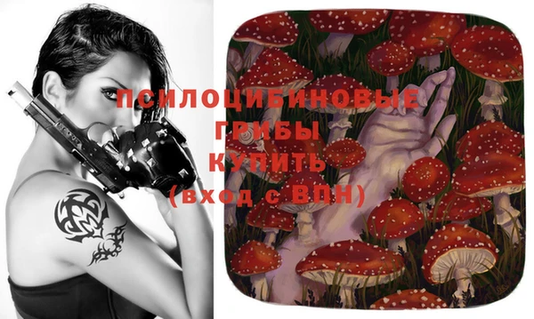 тгк Абаза