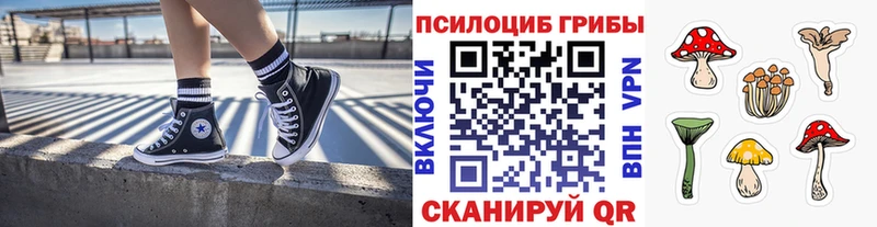 Псилоцибиновые грибы MAGIC MUSHROOMS  blacksprut как зайти  Шебекино  это состав  где продают наркотики 